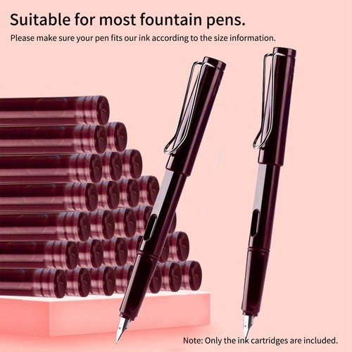 Pieces fountain pen - 50, ink